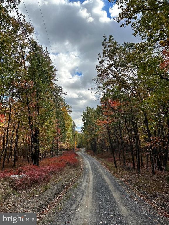 LOT 12 SEC 3 WARDEN RIDGE RD, Wardensville, WV 26851