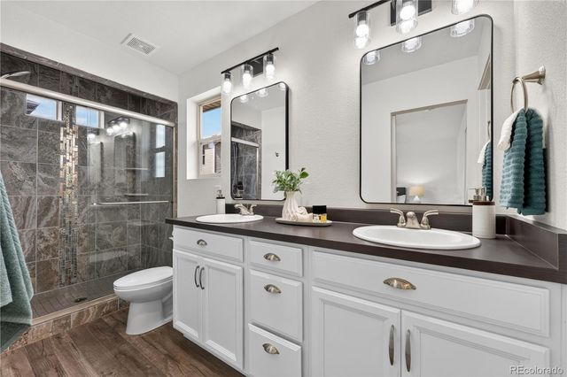 3145 Hardin Street, Castle Rock, CO 80109