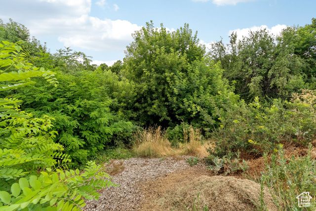 1043 S OXFORD CIR, Fruit Heights, UT 84037