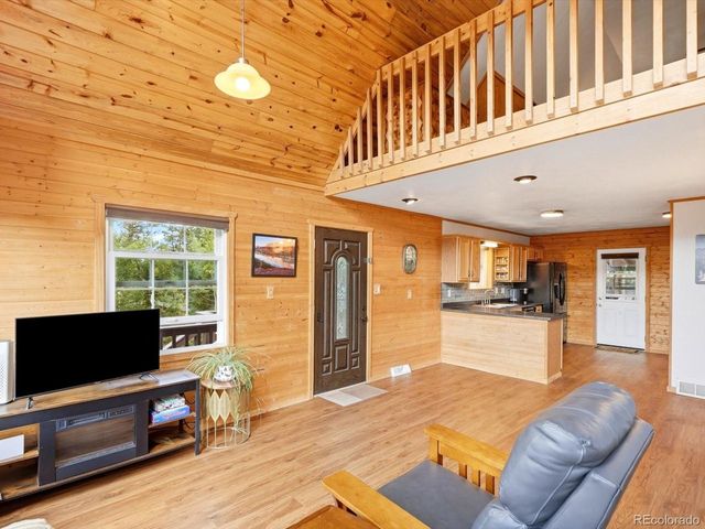 10 Juniper Way, Bailey, CO 80421