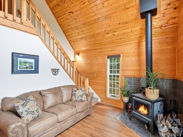 10 Juniper Way, Bailey, CO 80421