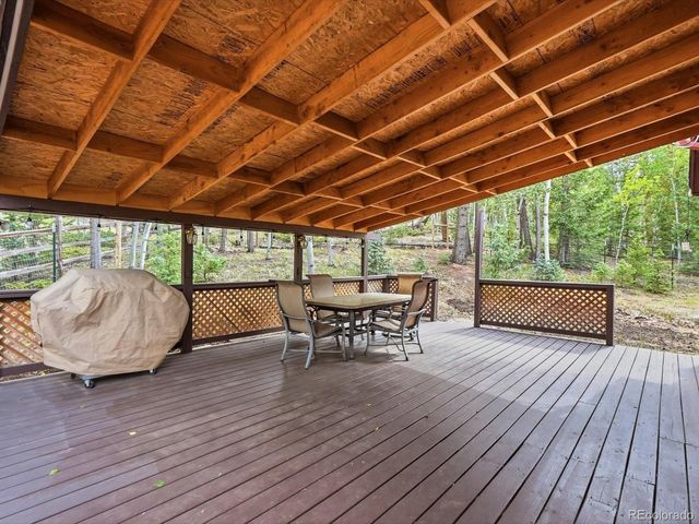 10 Juniper Way, Bailey, CO 80421