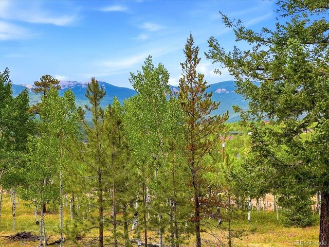 10 Juniper Way, Bailey, CO 80421