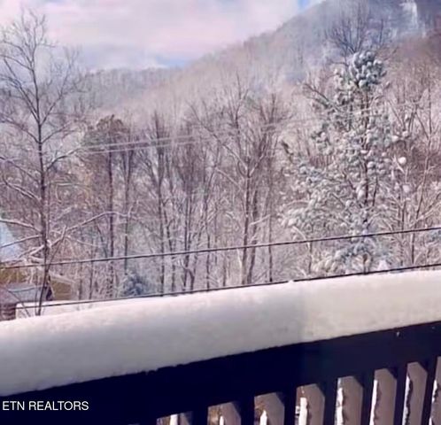 1380 Ski View Drive 2202, Gatlinburg, TN 37738