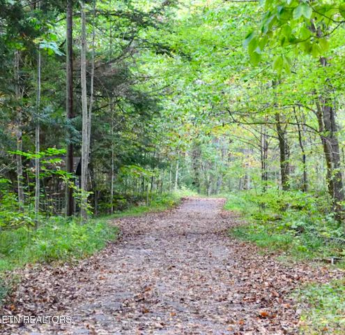 1380 Ski View Drive 2202, Gatlinburg, TN 37738