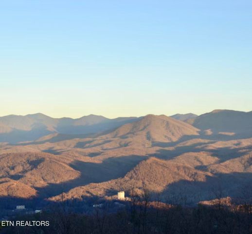 1380 Ski View Drive 2202, Gatlinburg, TN 37738