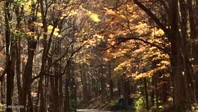 1380 Ski View Drive 2202, Gatlinburg, TN 37738