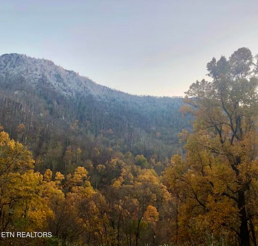 1380 Ski View Drive 2202, Gatlinburg, TN 37738