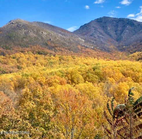 1380 Ski View Drive 2202, Gatlinburg, TN 37738