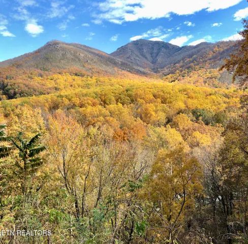 1380 Ski View Drive 2202, Gatlinburg, TN 37738