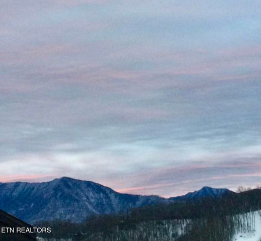 1380 Ski View Drive 2202, Gatlinburg, TN 37738