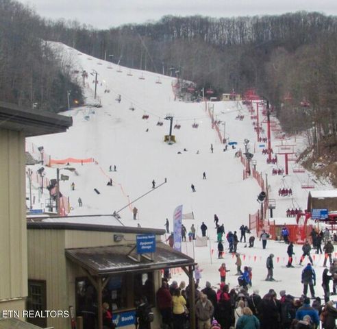 1380 Ski View Drive 2202, Gatlinburg, TN 37738