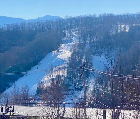 1380 Ski View Drive 2202, Gatlinburg, TN 37738