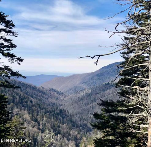 1380 Ski View Drive 2202, Gatlinburg, TN 37738