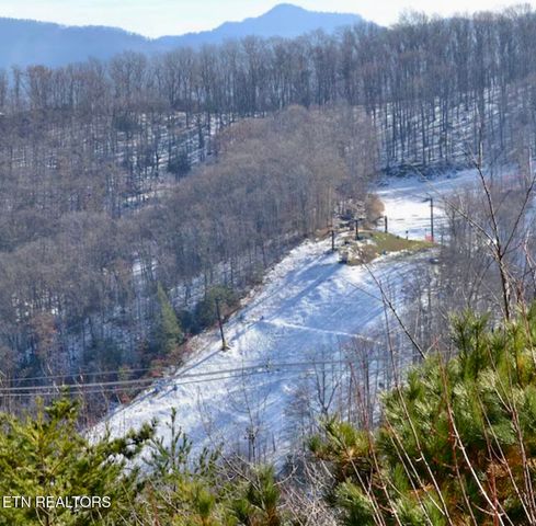 1380 Ski View Drive 2202, Gatlinburg, TN 37738