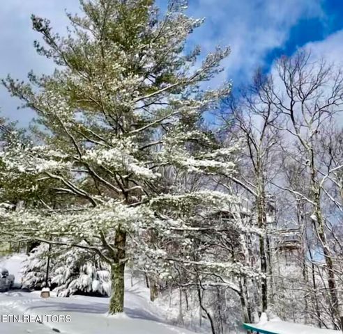 1380 Ski View Drive 2202, Gatlinburg, TN 37738