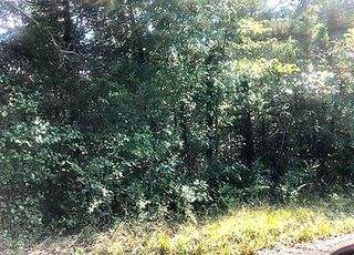 TBD Enid Drive, Cherokee Village, AR 72529