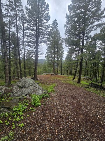 60 Snowberry Lane, Drummond, MT 59832