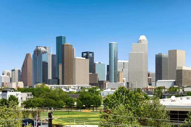 306 W Pierce Street, Houston, TX 77019