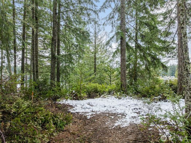 1961 E Trails End Drive, Belfair, WA 98528