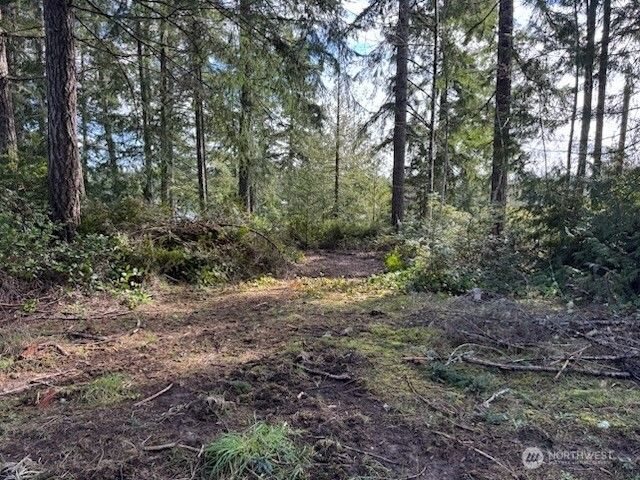 1961 E Trails End Drive, Belfair, WA 98528