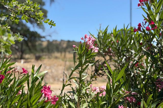 2099 Old Highway, Catheys Valley, CA 95306