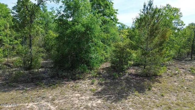 Lot 2 Baypoint Drive, Chipley, FL 32428