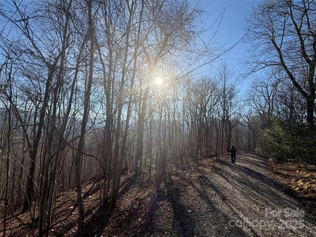 18,19,20,21 Brer Rabbit Trail 18,19,20,21, Waynesville, NC 28785