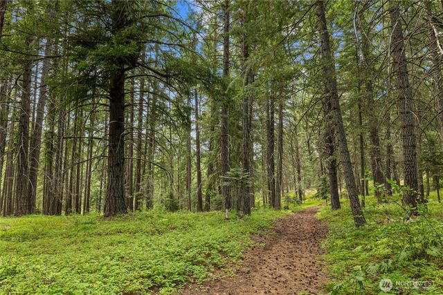 16341 Salmon La Sac Road, Ronald, WA 98940