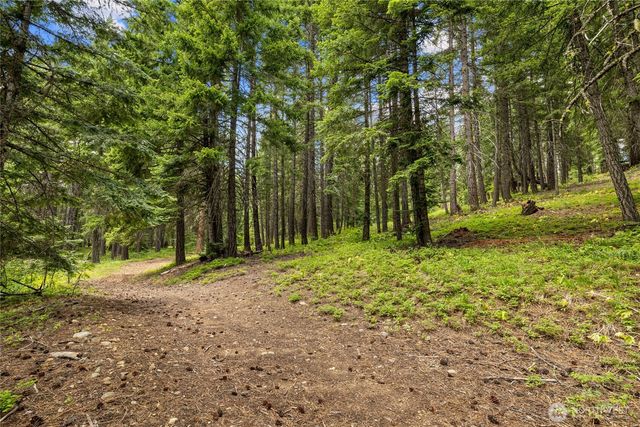 16341 Salmon La Sac Road, Ronald, WA 98940