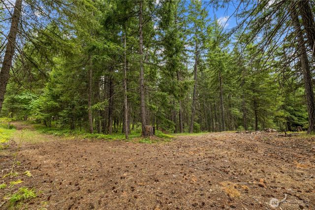 16341 Salmon La Sac Road, Ronald, WA 98940