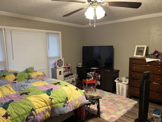 2867 Little Sulphur Creek Rd, Big Sandy, TN 38221