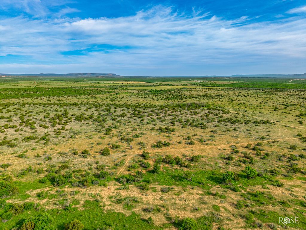 Image 19 of property listing at 13065 Tx-158, Robert Lee, TX 76945