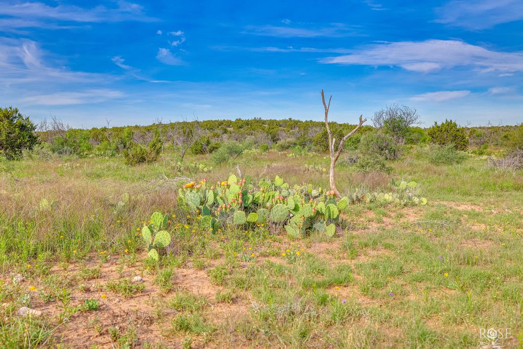 Image 37 of property listing at 13065 Tx-158, Robert Lee, TX 76945