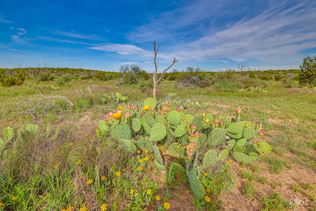 Image 38 of property listing at 13065 Tx-158, Robert Lee, TX 76945