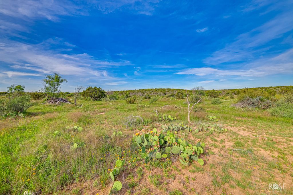 Image 39 of property listing at 13065 Tx-158, Robert Lee, TX 76945