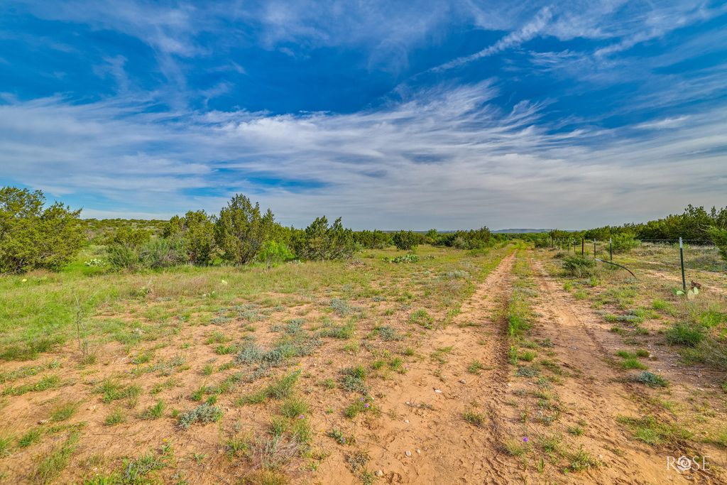 Image 40 of property listing at 13065 Tx-158, Robert Lee, TX 76945