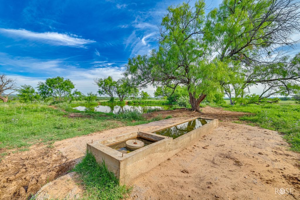 Image 46 of property listing at 13065 Tx-158, Robert Lee, TX 76945