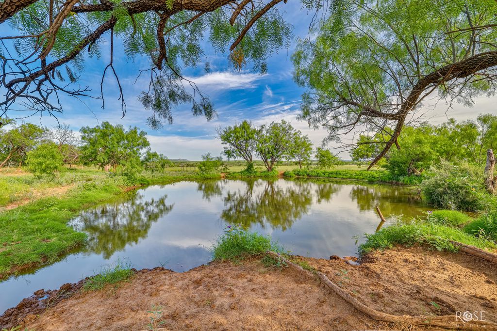 Image 47 of property listing at 13065 Tx-158, Robert Lee, TX 76945