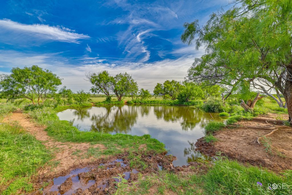 Image 48 of property listing at 13065 Tx-158, Robert Lee, TX 76945