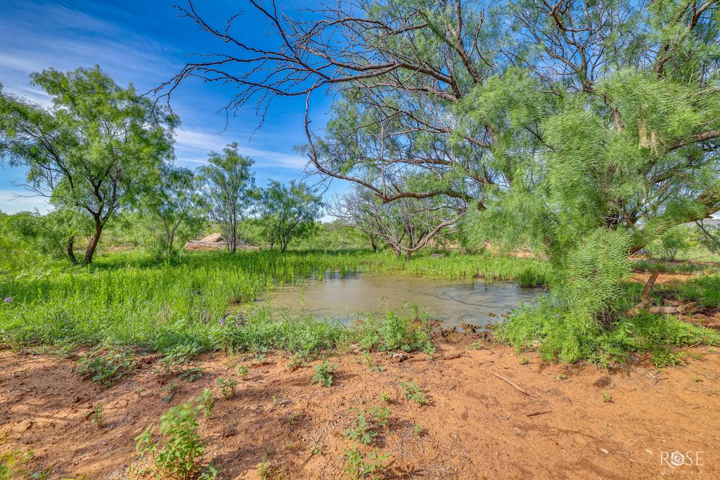 Image 49 of property listing at 13065 Tx-158, Robert Lee, TX 76945