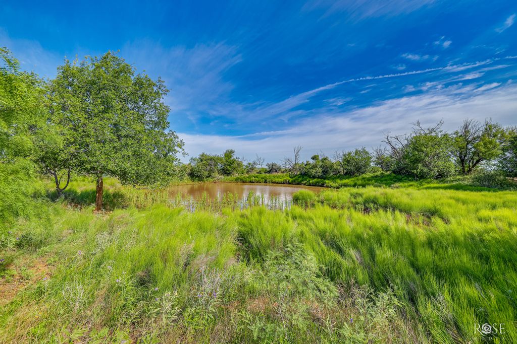 Image 50 of property listing at 13065 Tx-158, Robert Lee, TX 76945