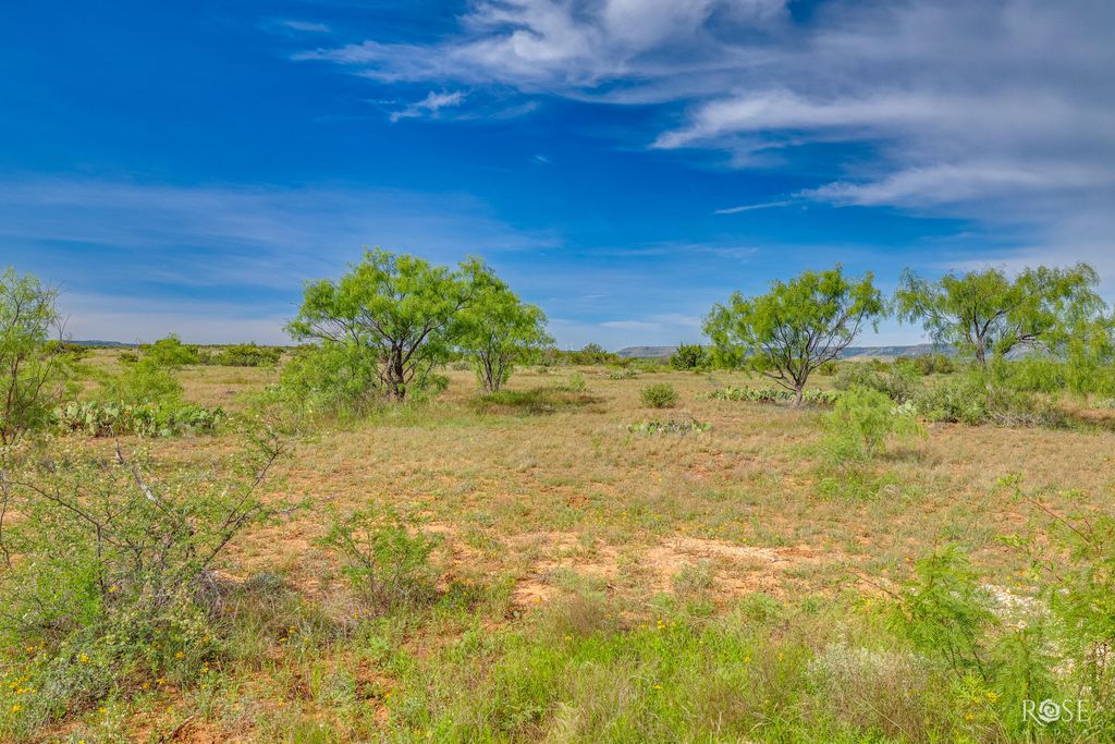 Image 51 of property listing at 13065 Tx-158, Robert Lee, TX 76945