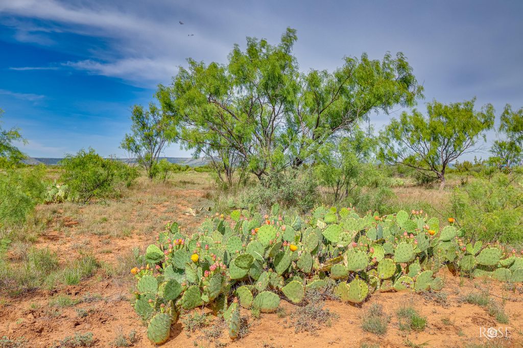 Image 53 of property listing at 13065 Tx-158, Robert Lee, TX 76945