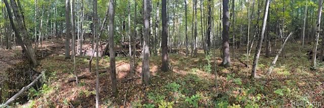 1059 N Ridge Road, Update, MI 48419