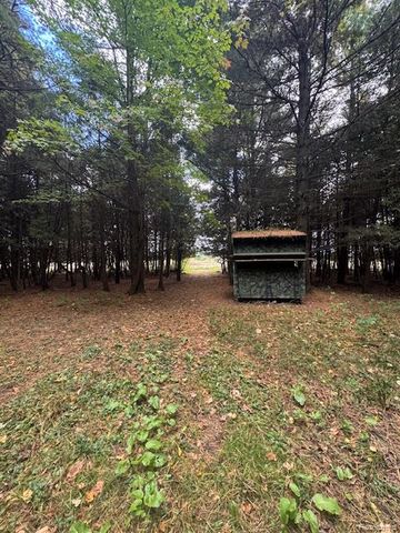1059 N Ridge Road, Update, MI 48419