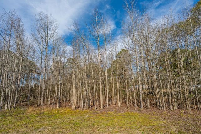 122 Orchid Loop, Saint George, SC 29477