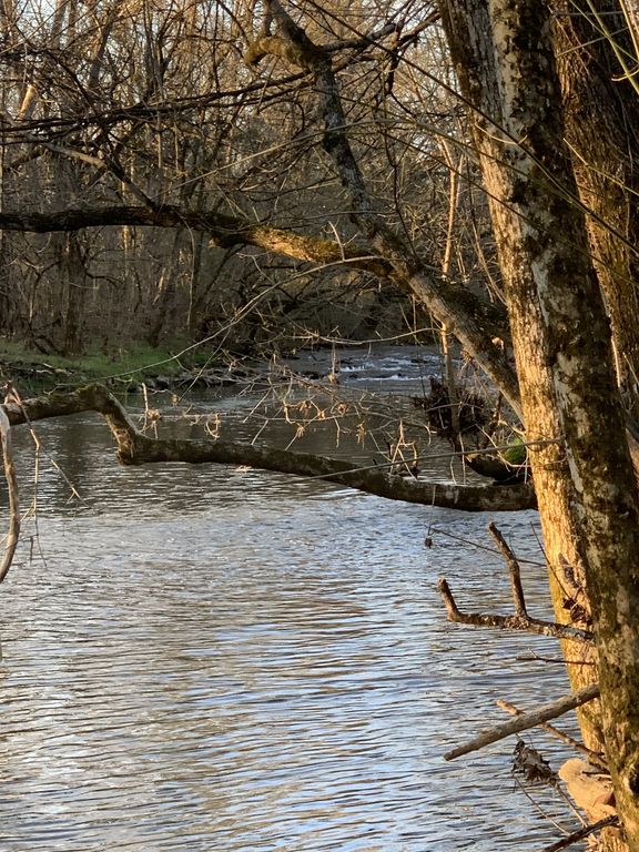 0 Highway 431, S, Columbia, TN 38401