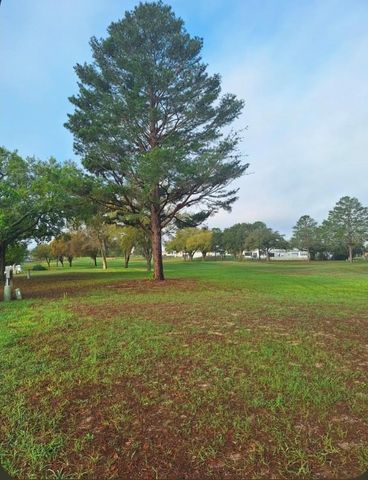 15461 BROOKRIDGE BOULEVARD, Brooksville, FL 34613