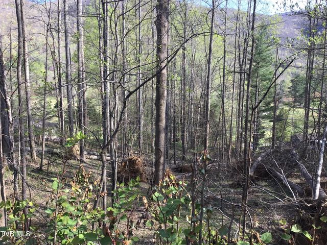 2 Lots Powell Valley Road Road, Big Stone Gap, VA 24219